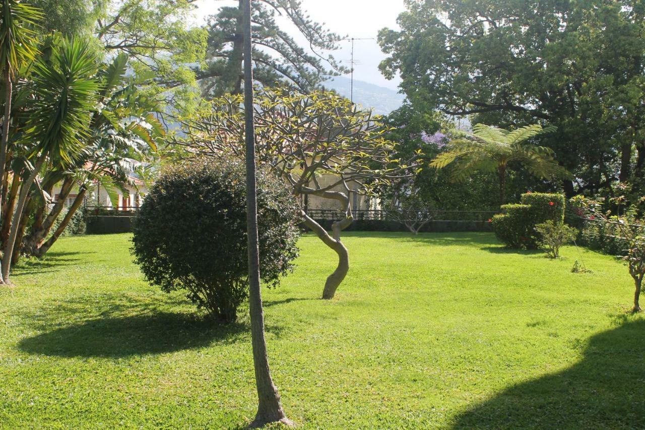 Apartamento Jasmineiro - Palms Palace