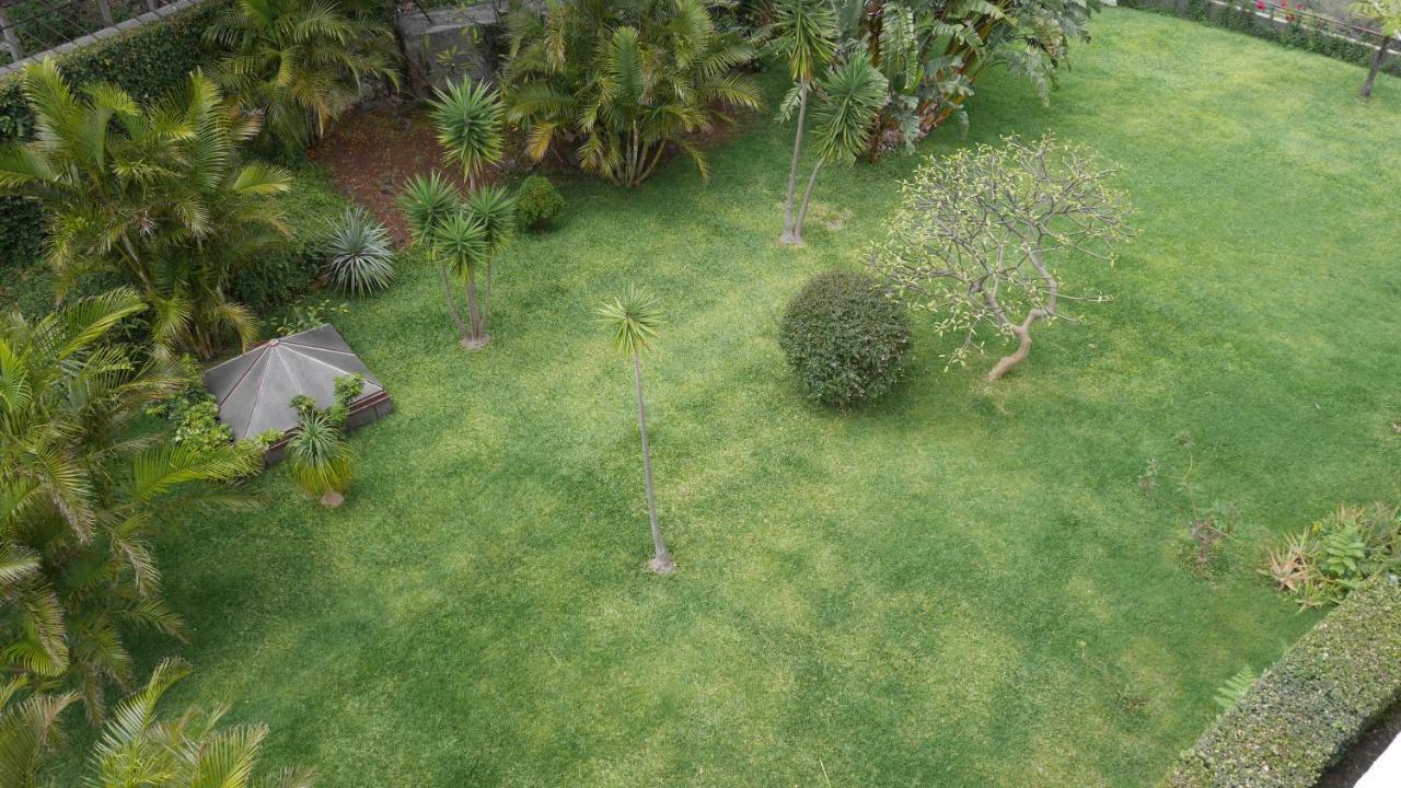 Jasmineiro - Palms Palace Apartamento